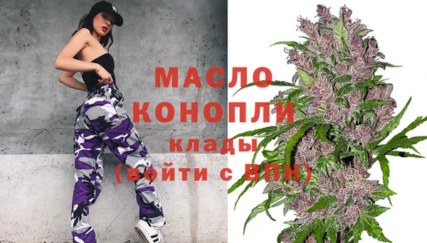 гидра Семилуки