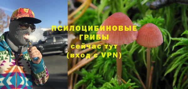 гидра Семилуки