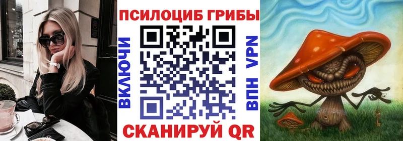 Галлюциногенные грибы Psilocybine cubensis  Урень 